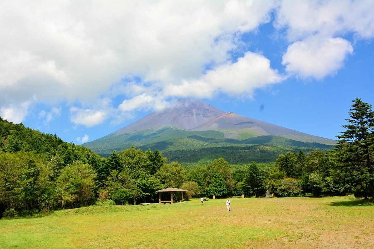 Mizugatsuka Park cover image