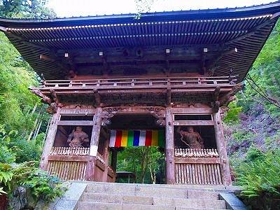 Mt. Makio Sefukuji Temple cover image