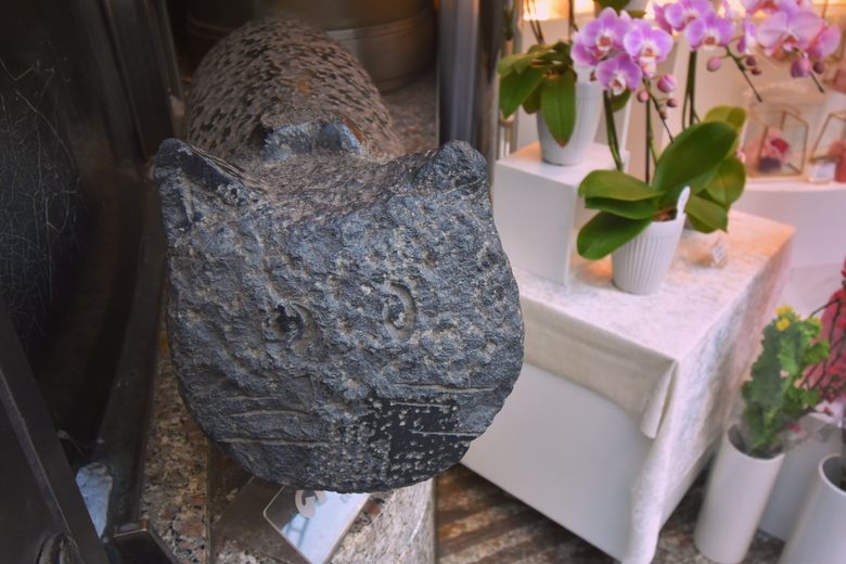 'Coicorin' cover image