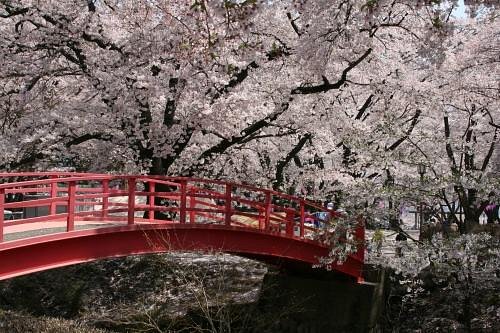 Kasuga Park cover image