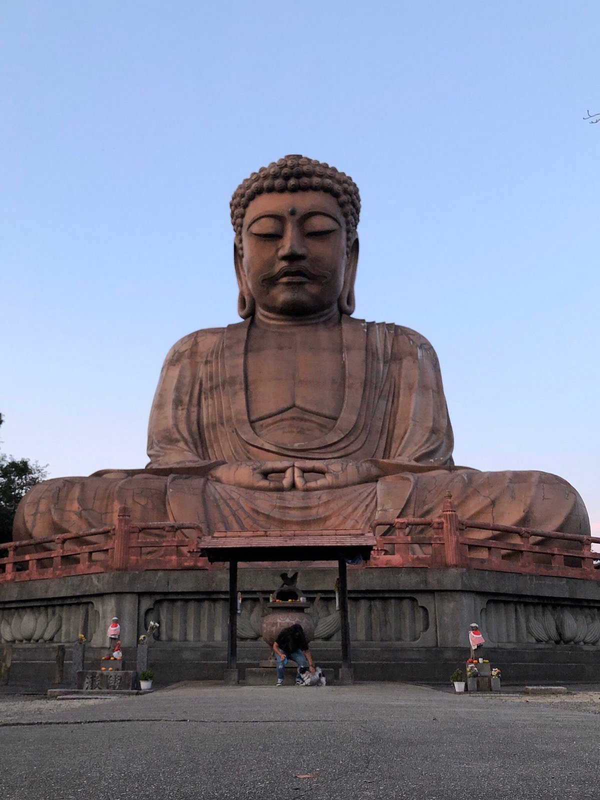 Daibutsu in Shurakuen cover image