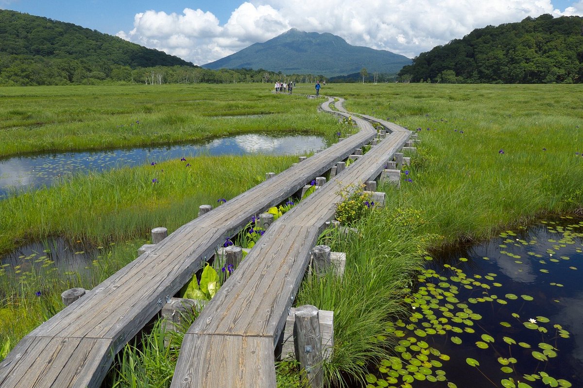 Oze National Park cover image