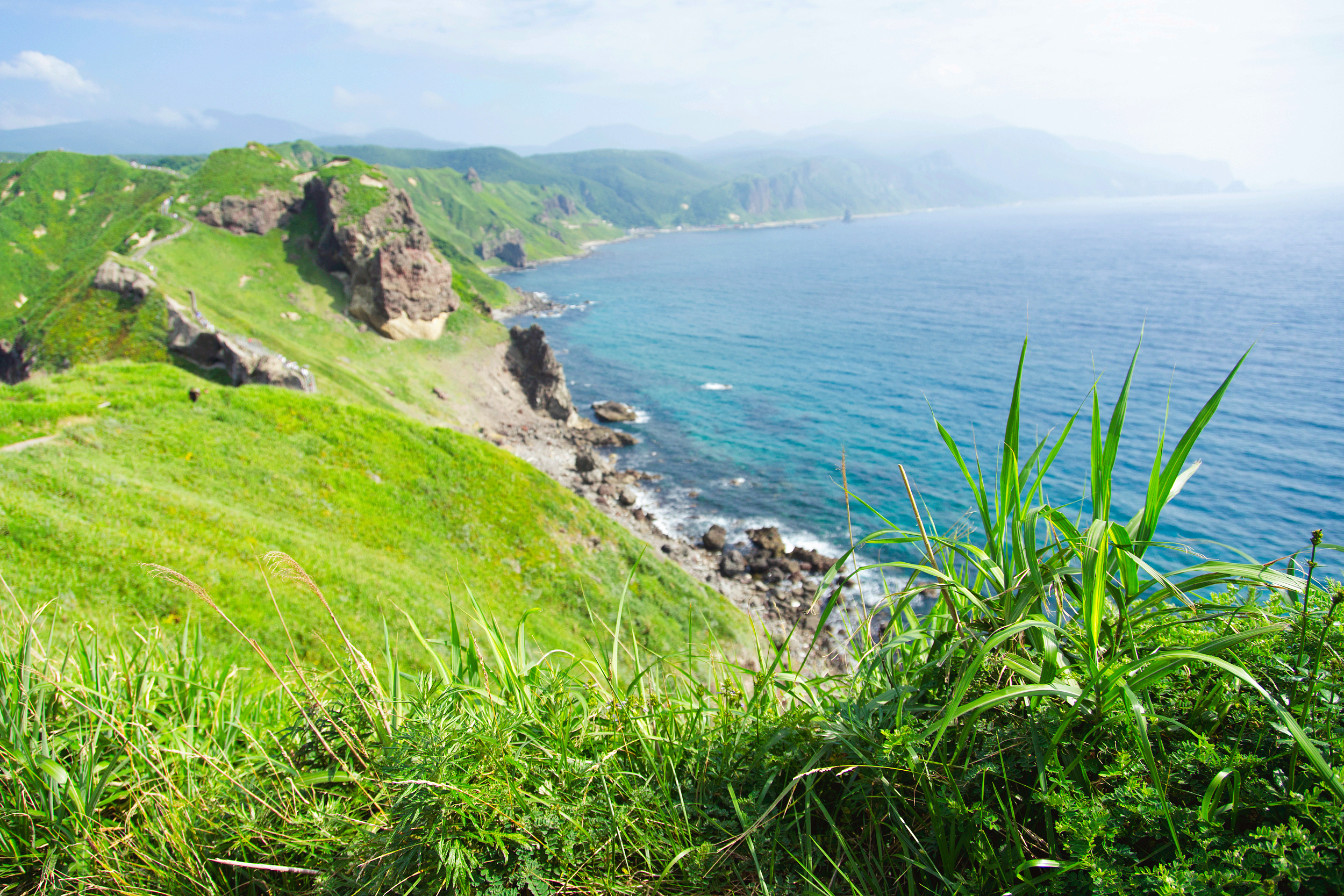 Cape Kamui cover image