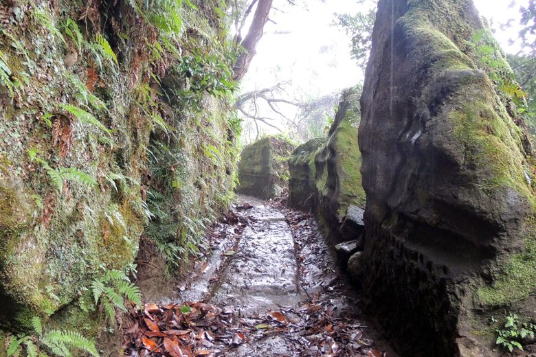 Mount Nokogiri (Saw Mountain)