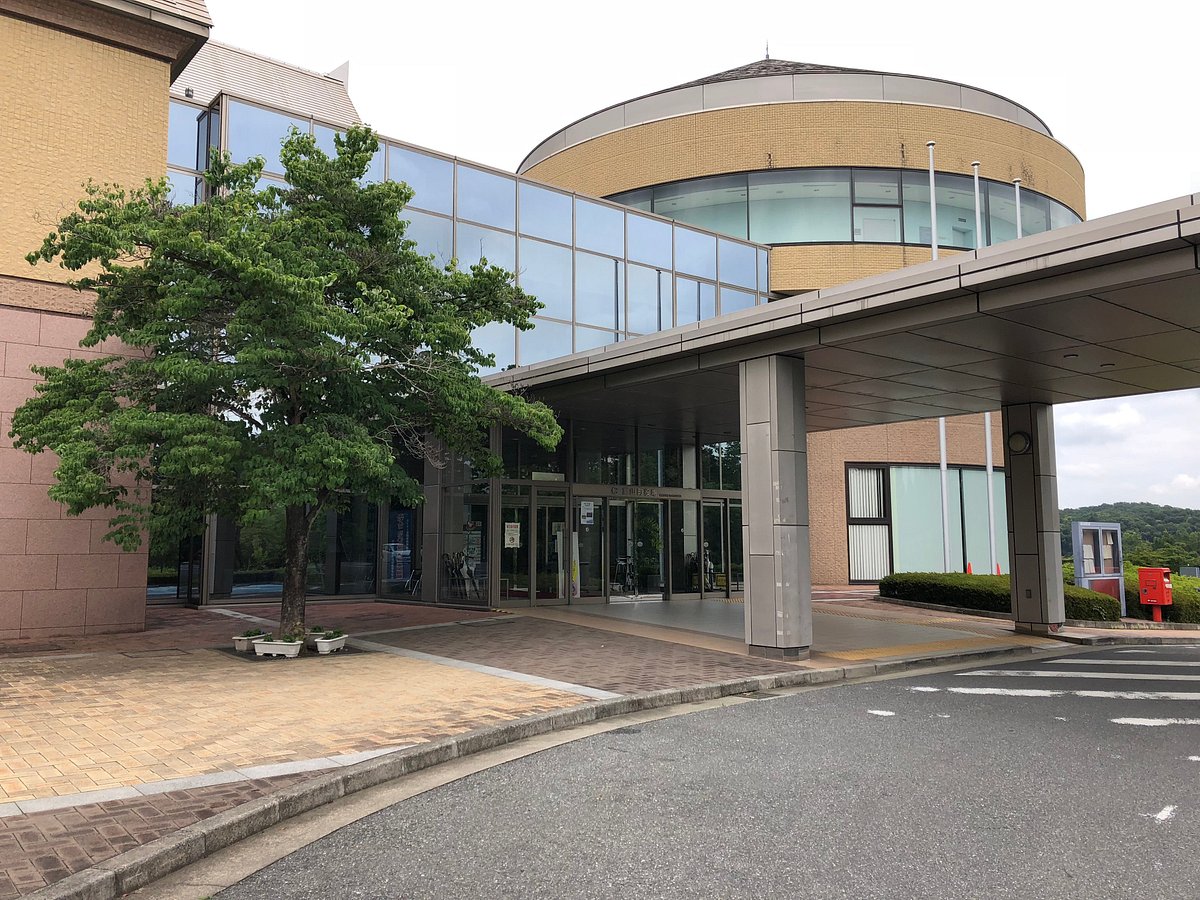 Sugiyama Castle Ruin cover image