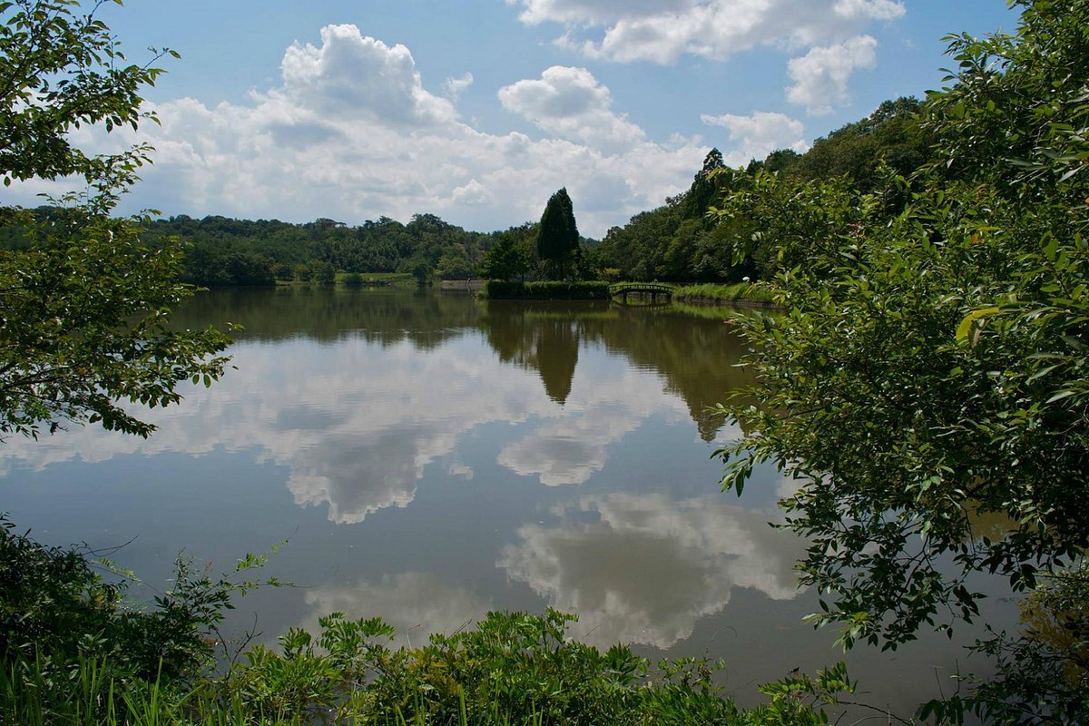 Arimafuji Park cover image