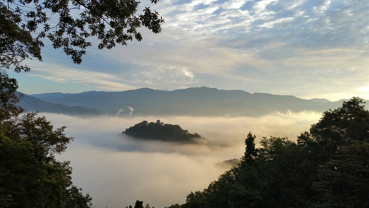 Echizen Ono Castle cover image