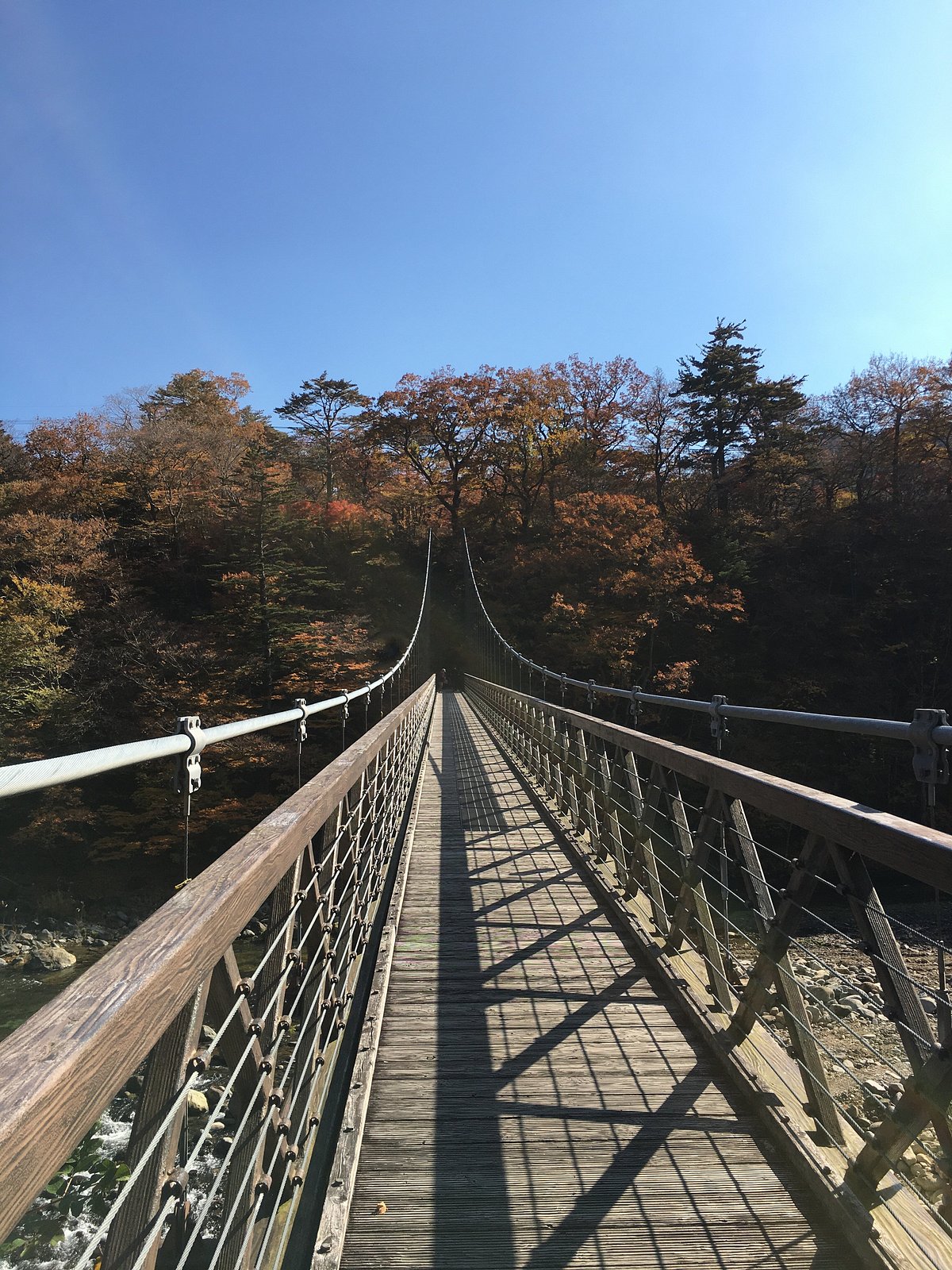 Nanatsuiwa Suspension Bridge cover image