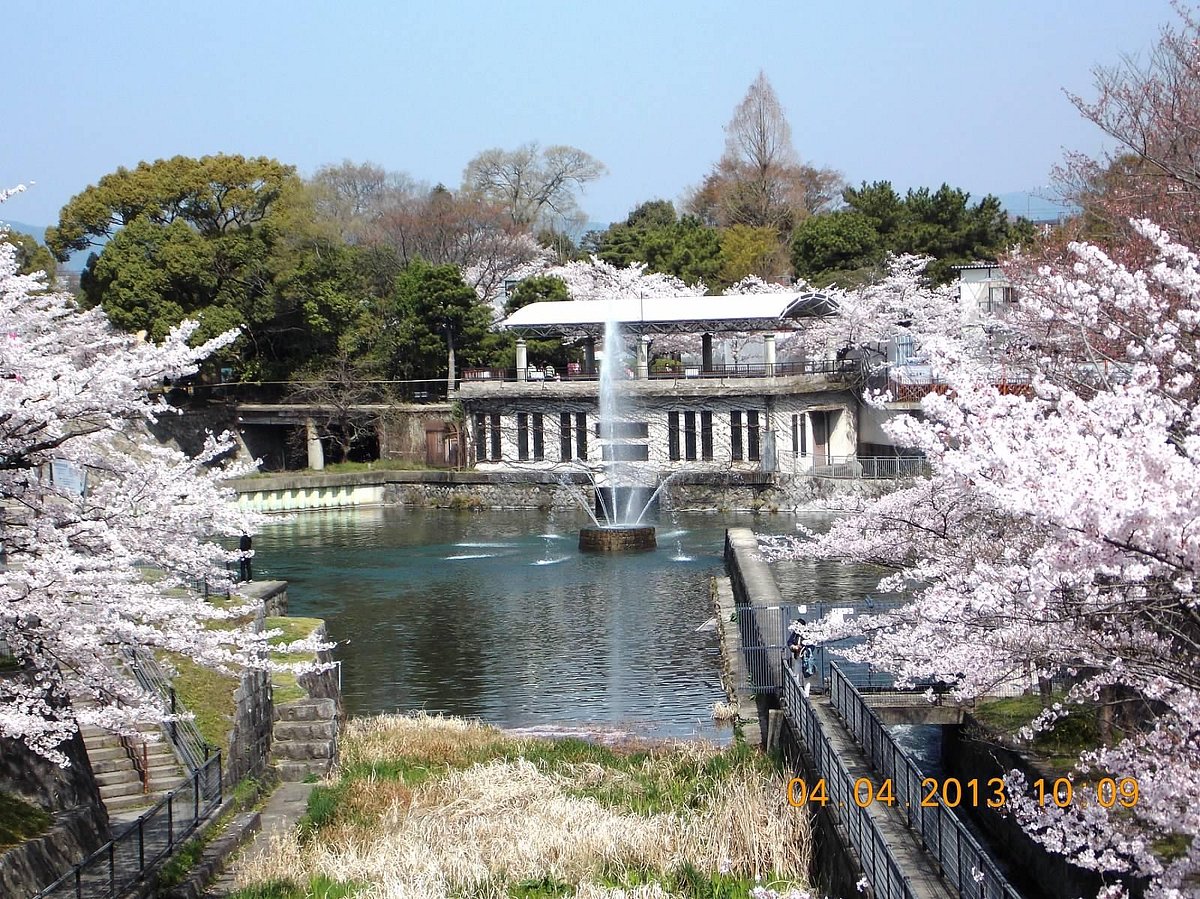 Philosopher's Path cover image