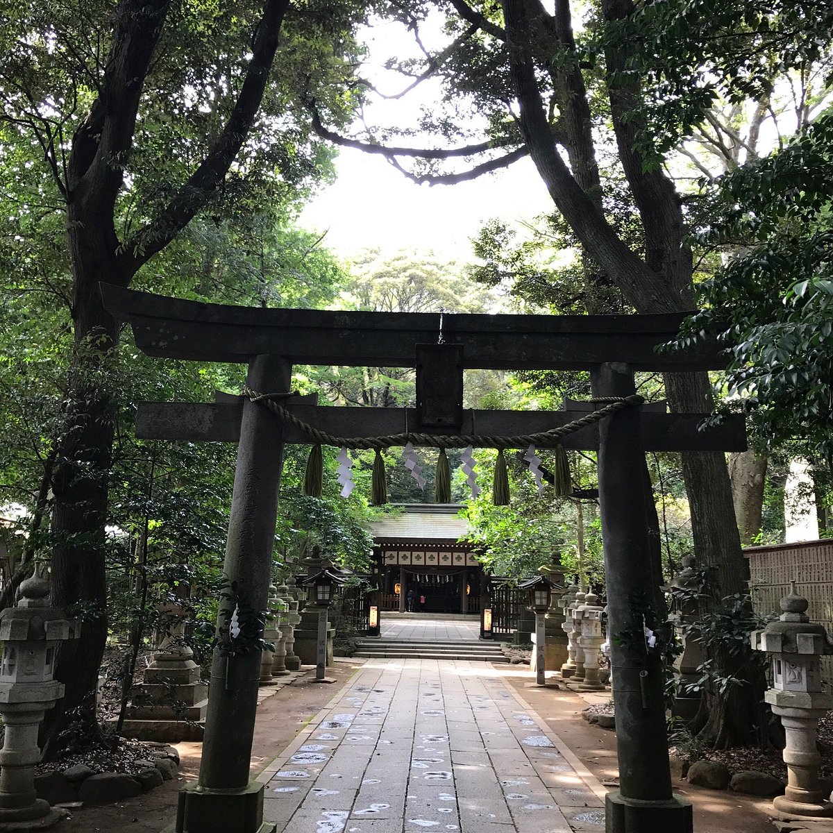 Suwa Shrine cover image