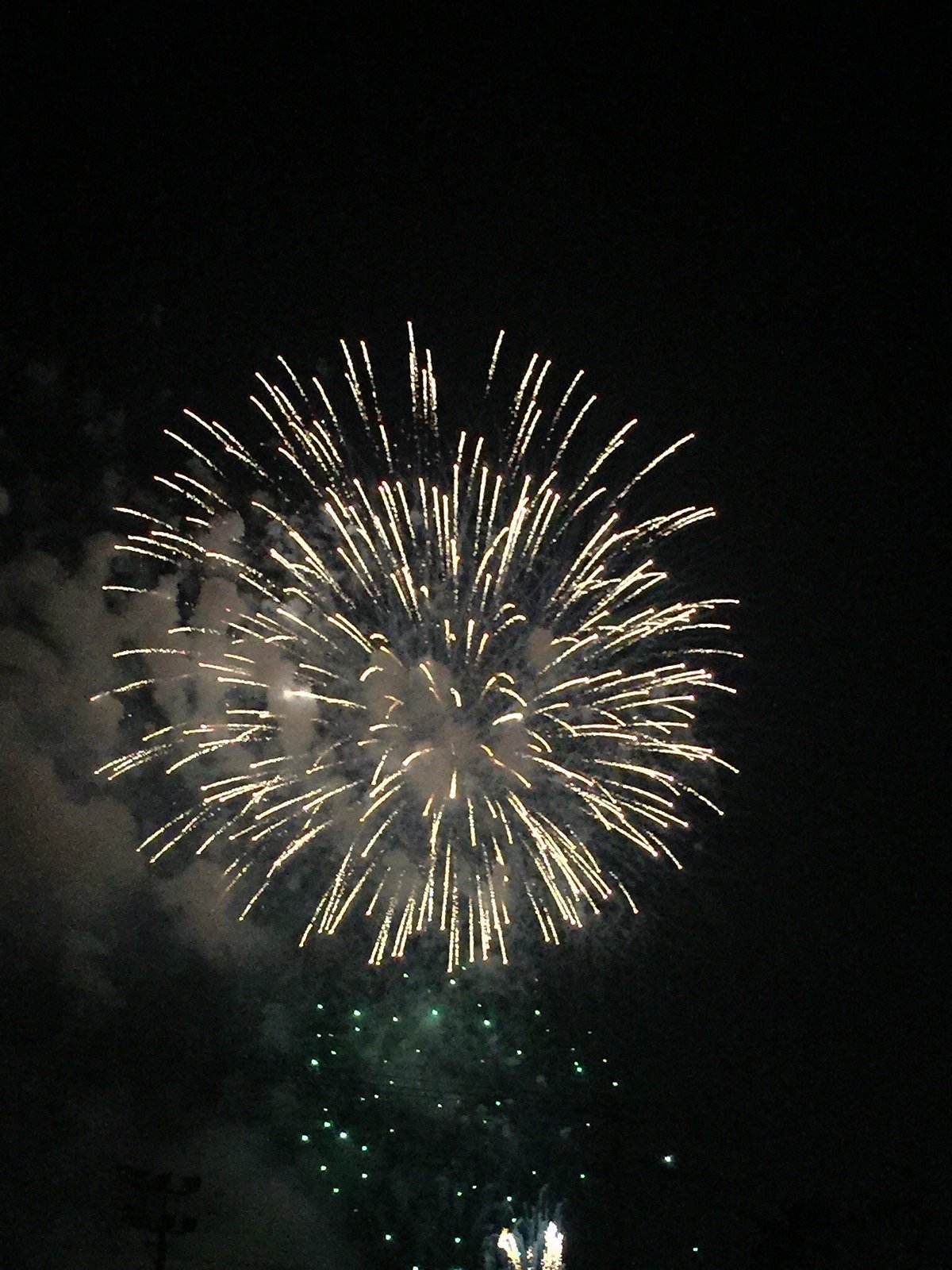 Nishio Yonezu River Festival