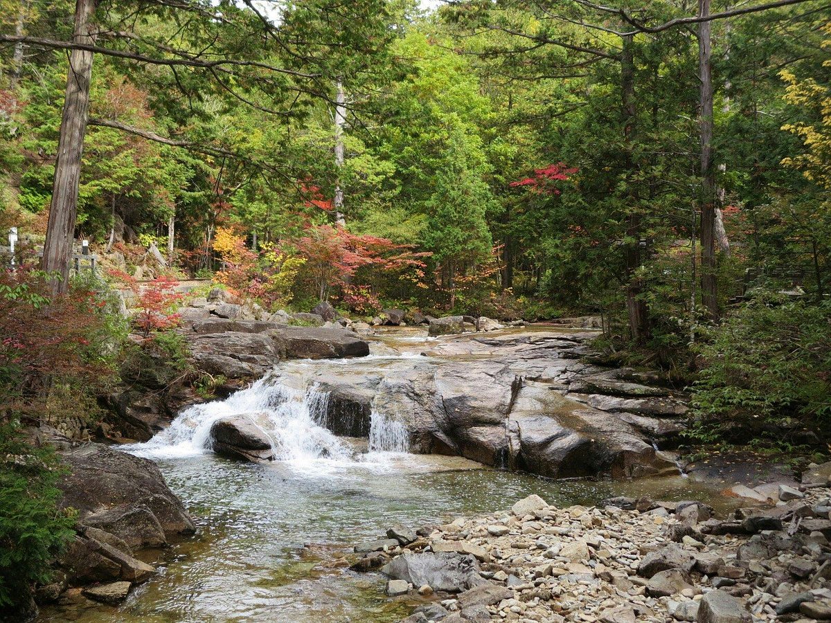 Akasawa Natural Recreational Forest cover image