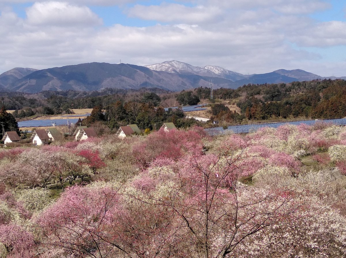 Inabe Nogyokoen cover image