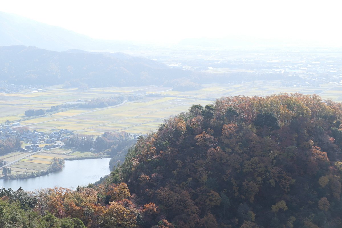 Odani Castle cover image