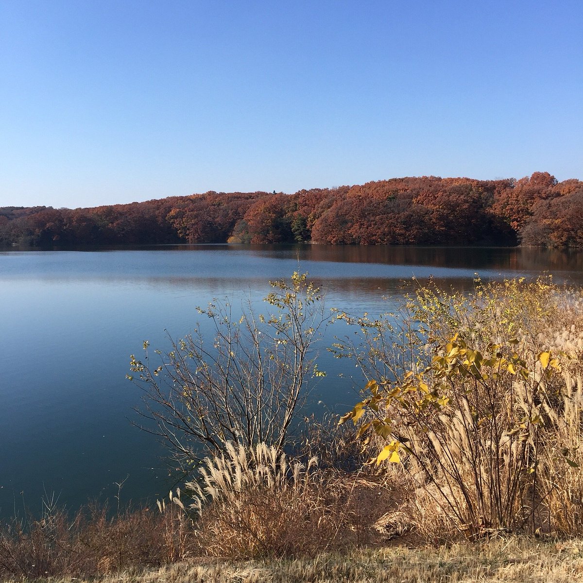 Sayama Prefectural Nature Park