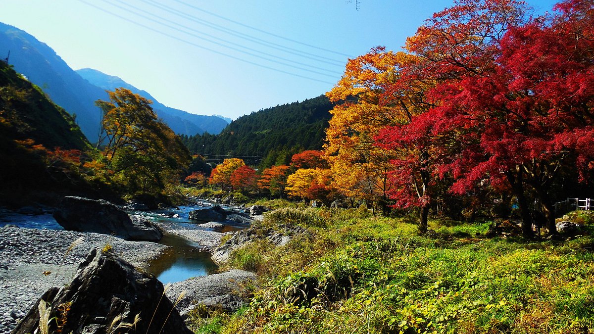 Mitake Valley cover image