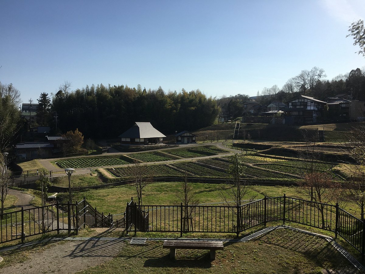 Oribenosato Park cover image