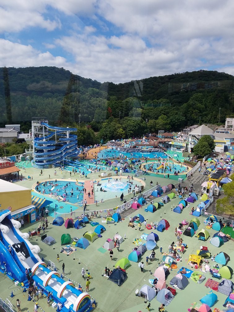 Tojoko Toy Kingdom cover image