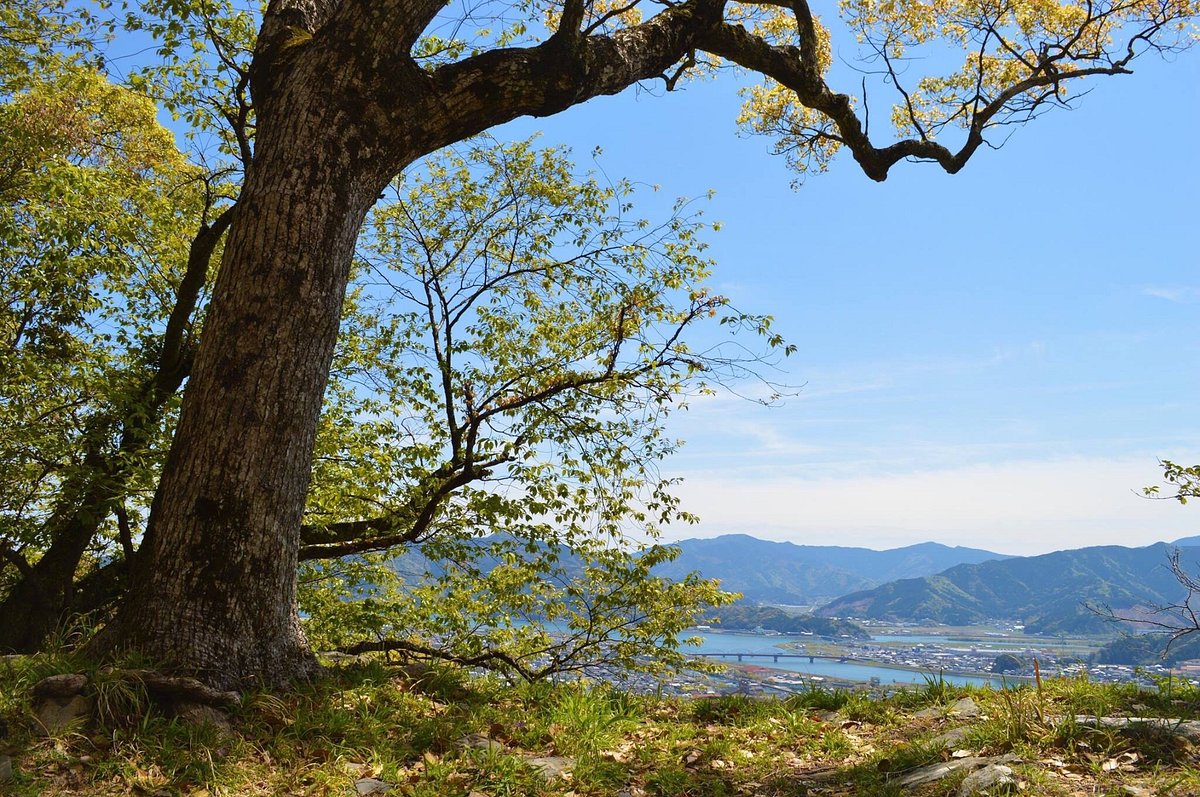 Mt. Shiroyama cover image