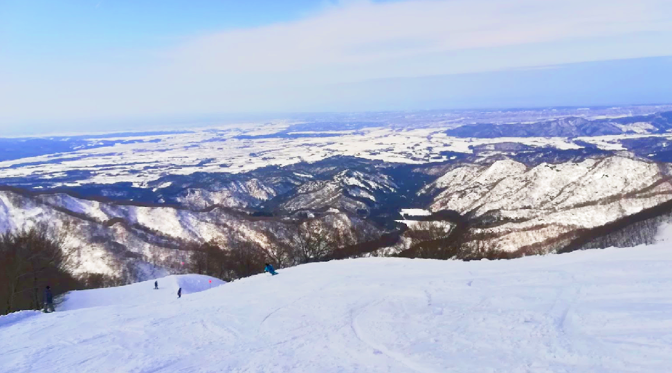 Ninox Snow Park cover image