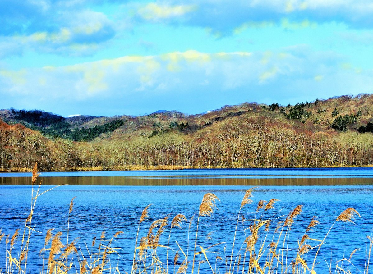 Lake Poroto cover image