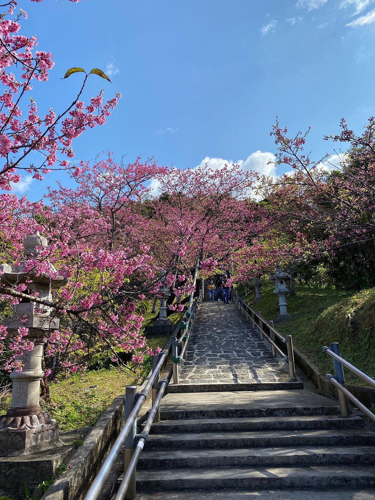 Nago Castle Historical Park