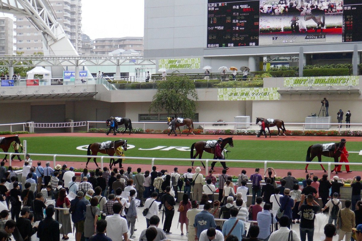 Hanshin Horse Racetrack cover image