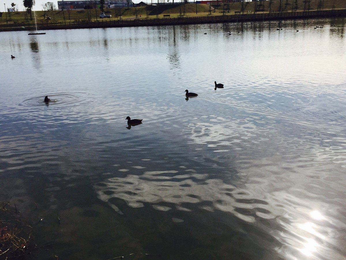 Kazusa Sarashina Park cover image