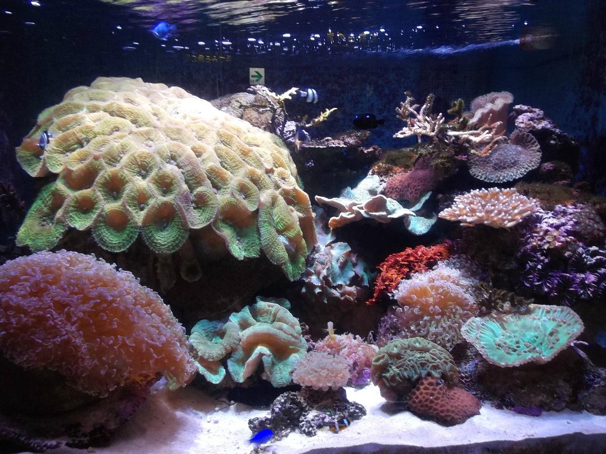 Wakayama Prefectural Museum of Natural History cover image