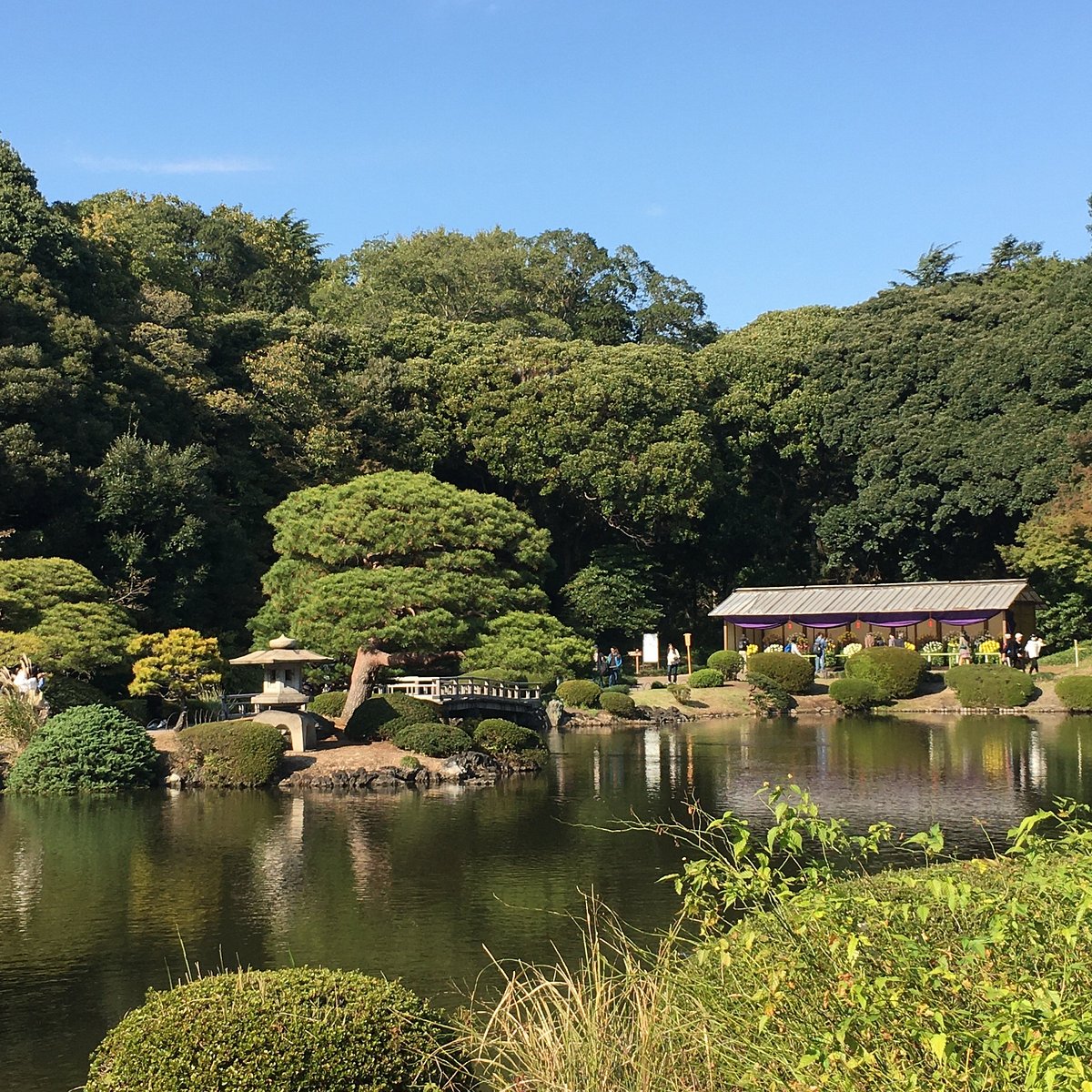 Kohoen Park cover image