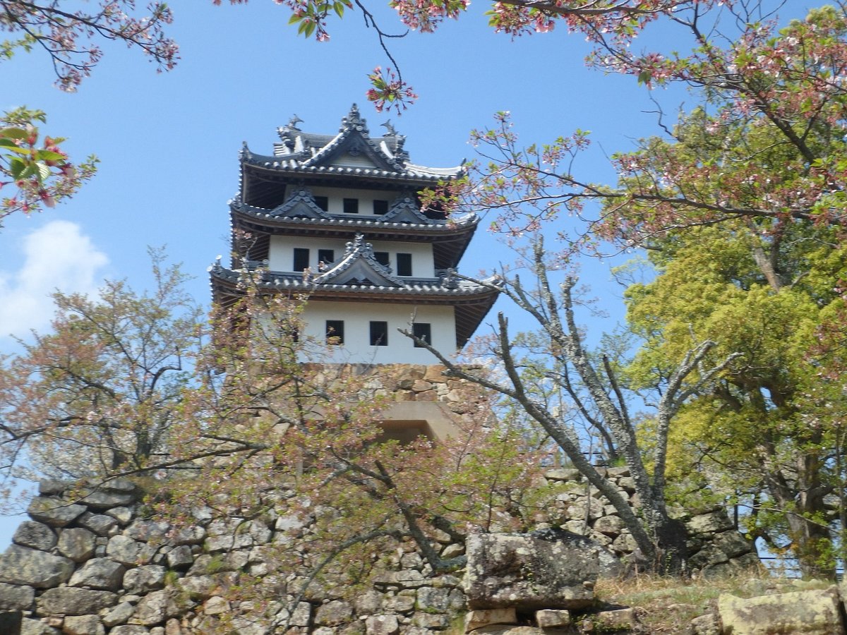 Sumoto Castle