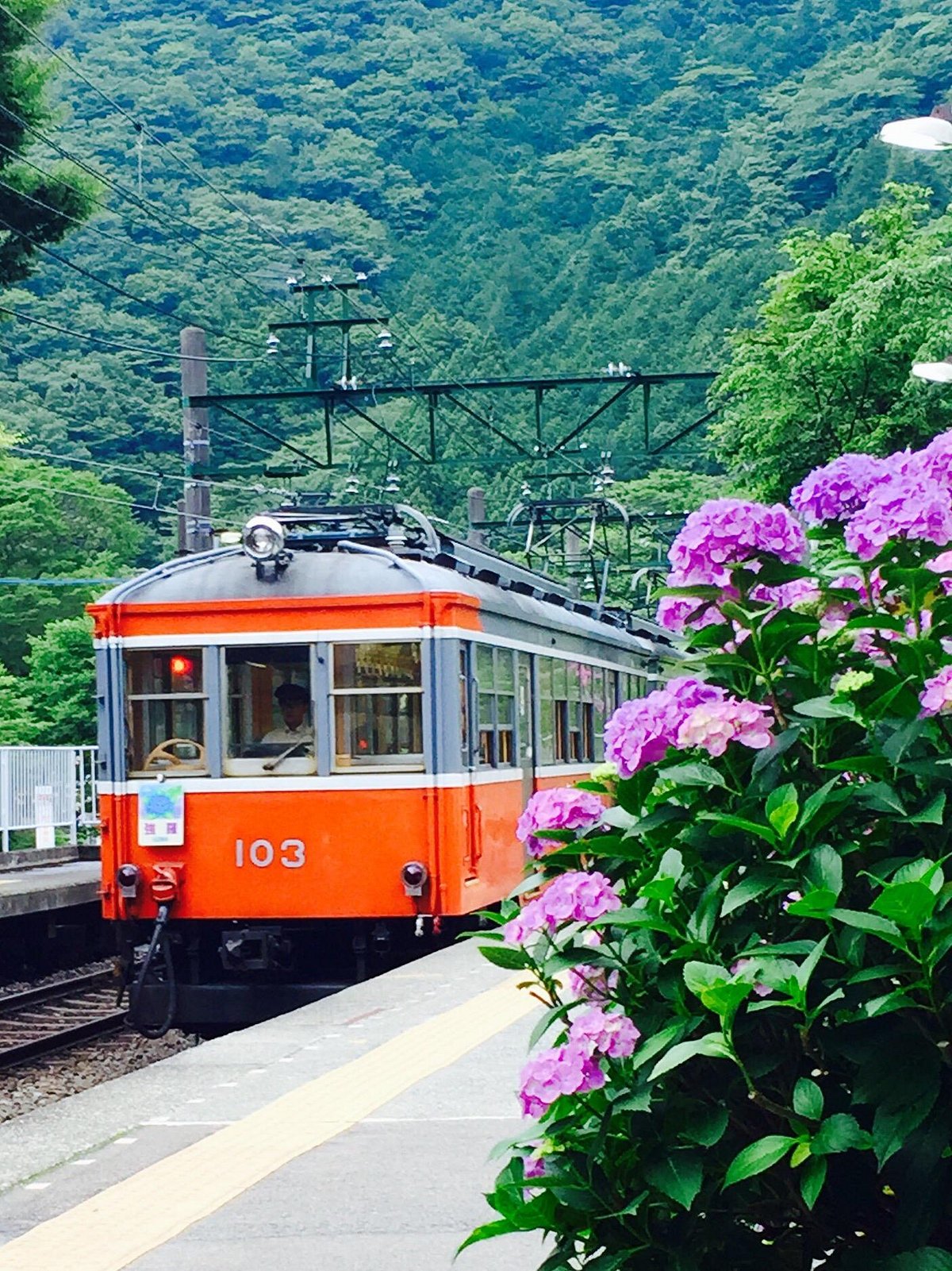 Hakone Tozan Railway
