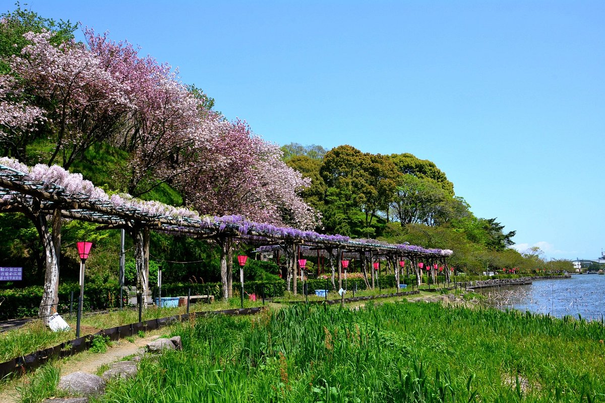 Rengejiike Park cover image