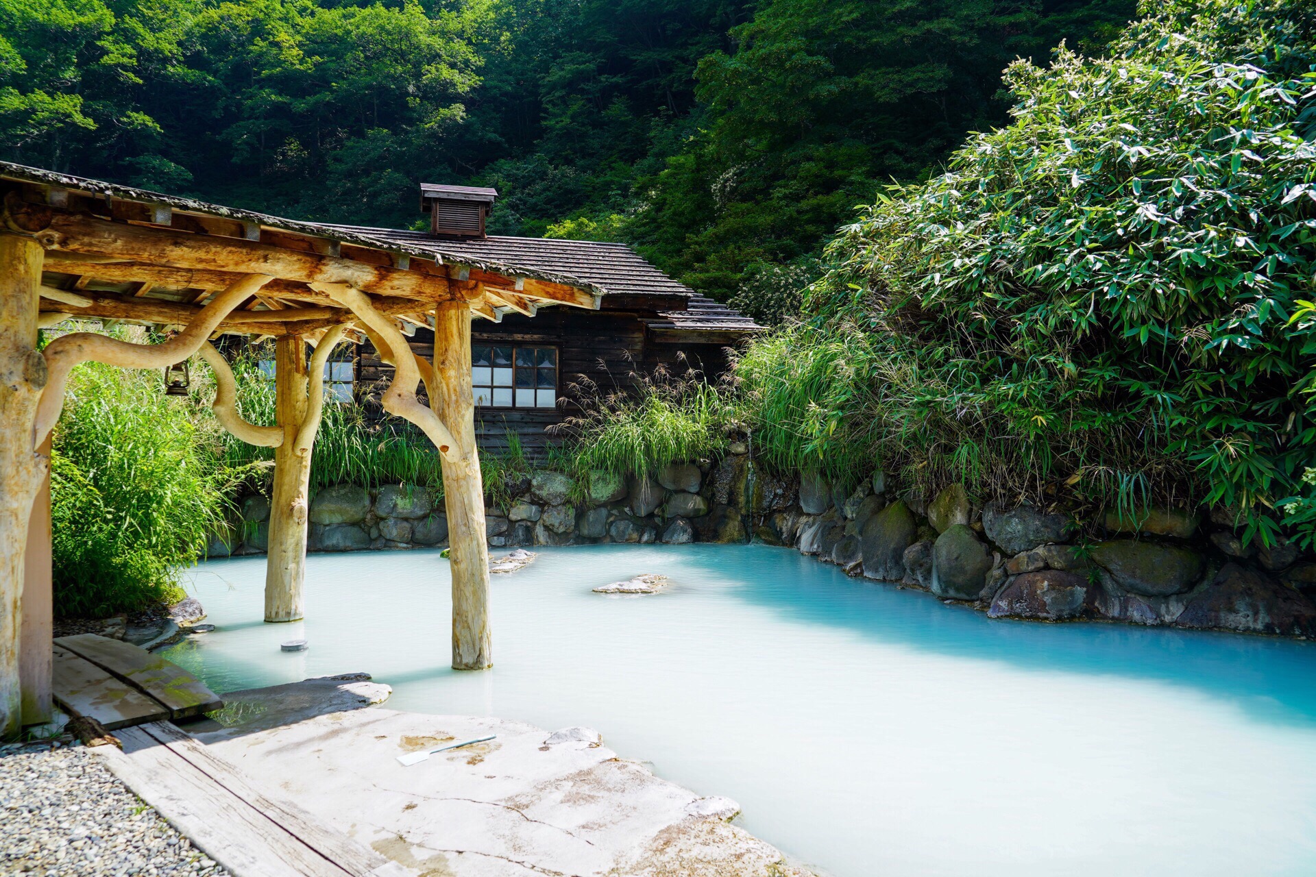 Nyuto Onsenkyo cover image