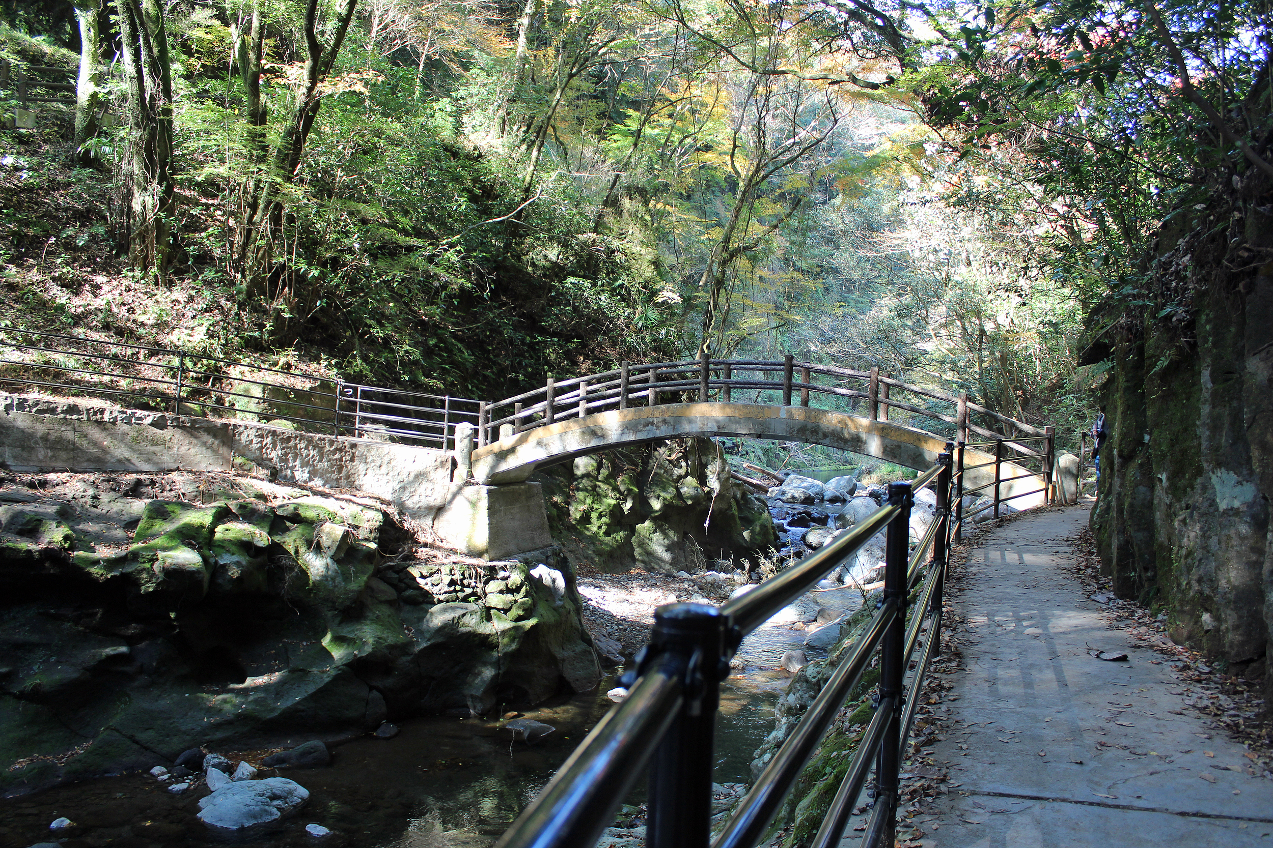 Amanoyasukawara cover image