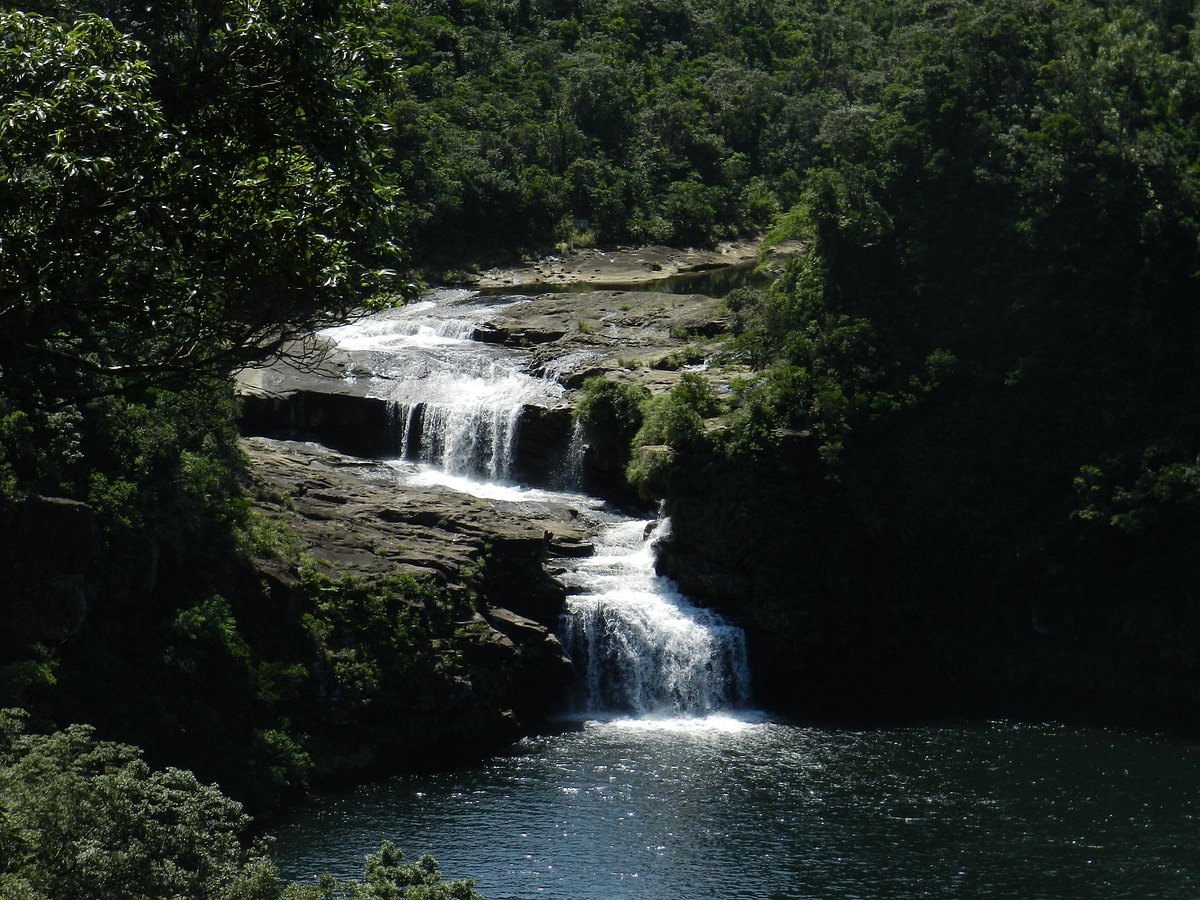 Iriomote Island cover image