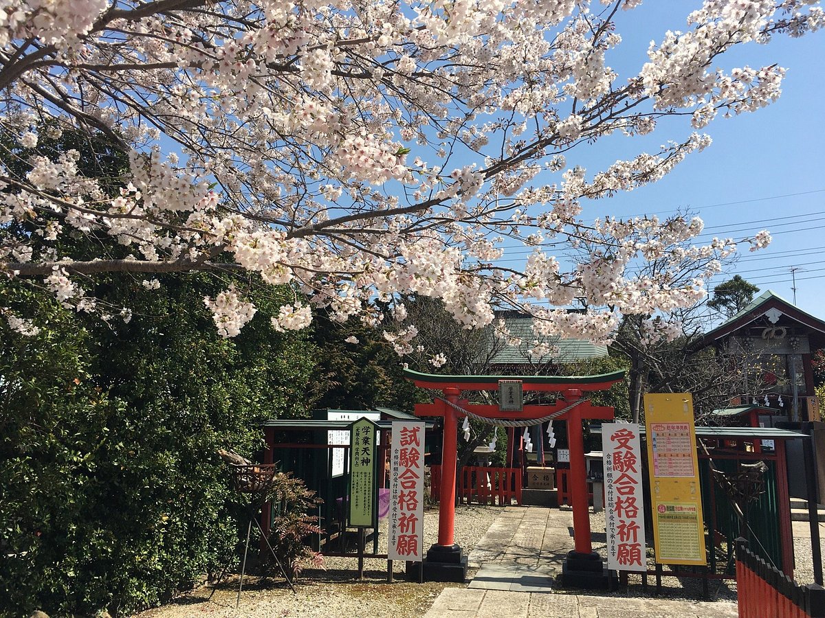 Myosen-ji Temple cover image