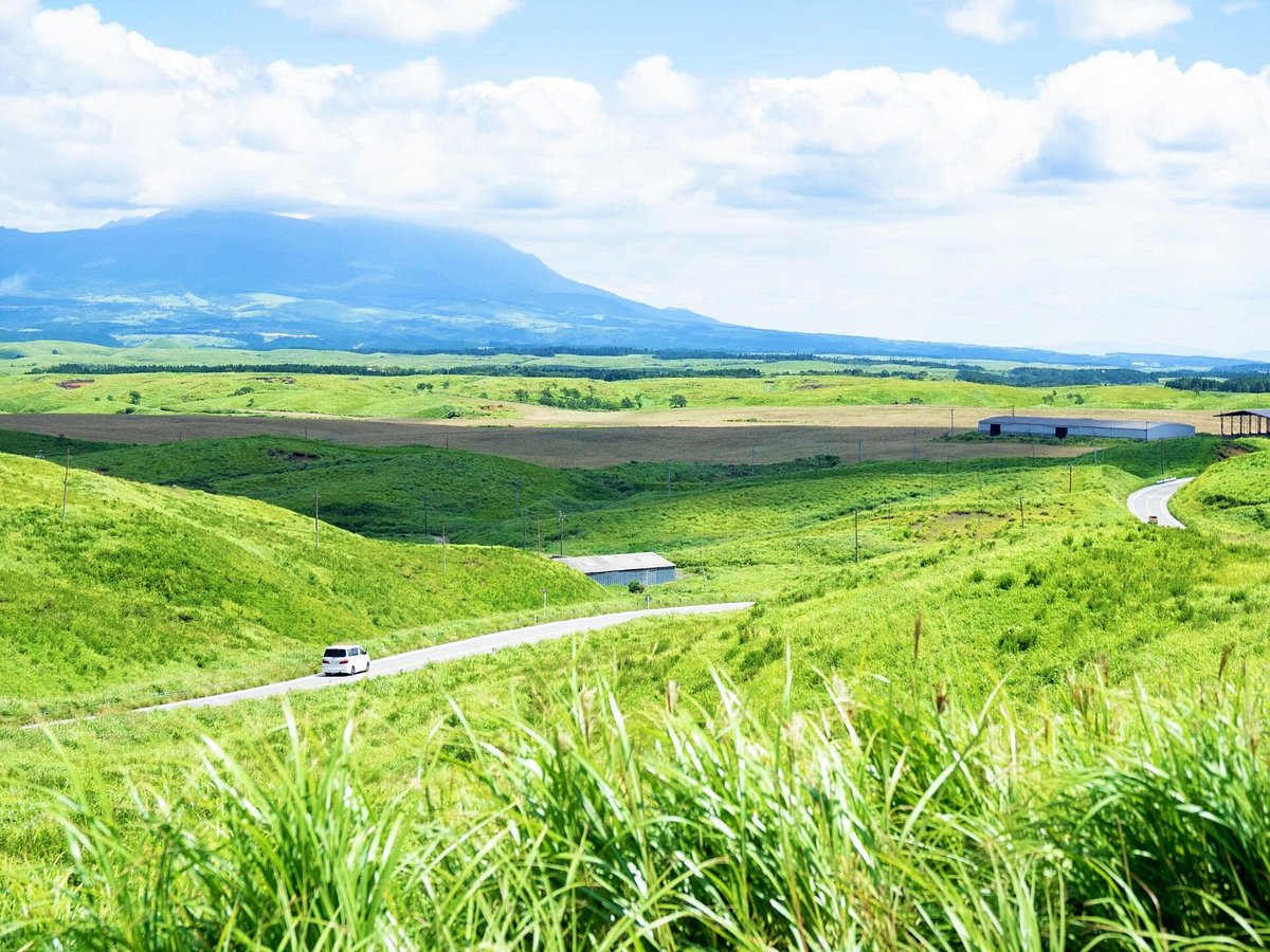 Aso Milk Road cover image