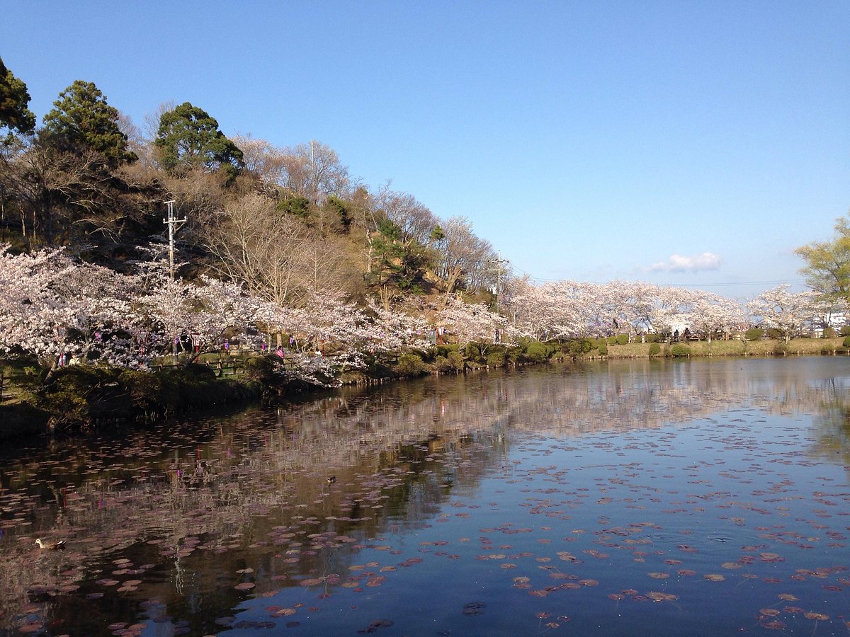 Mobara Park cover image