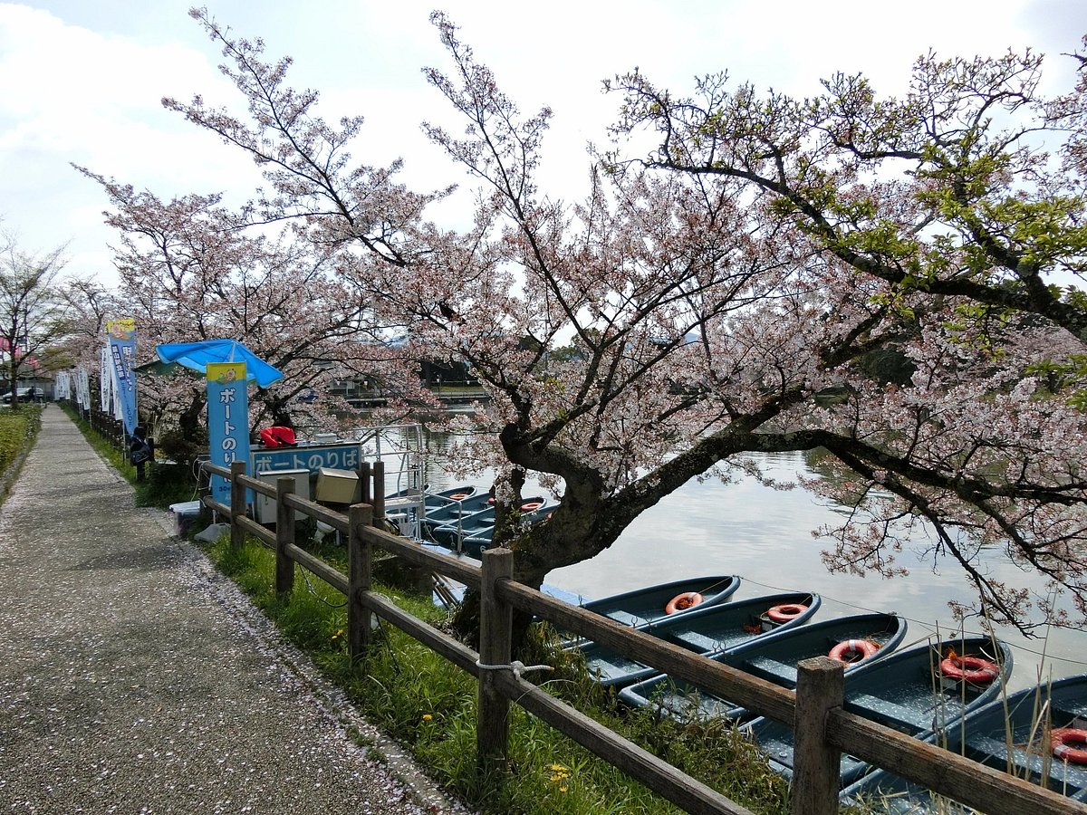 Sasayama Castle Old SIte