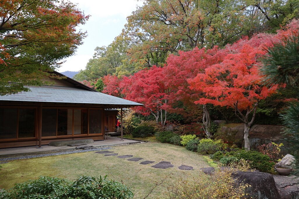 Nishinomiya Kitayama Botanical Garden cover image