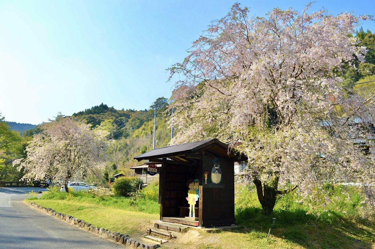 Totoro Bus Stop