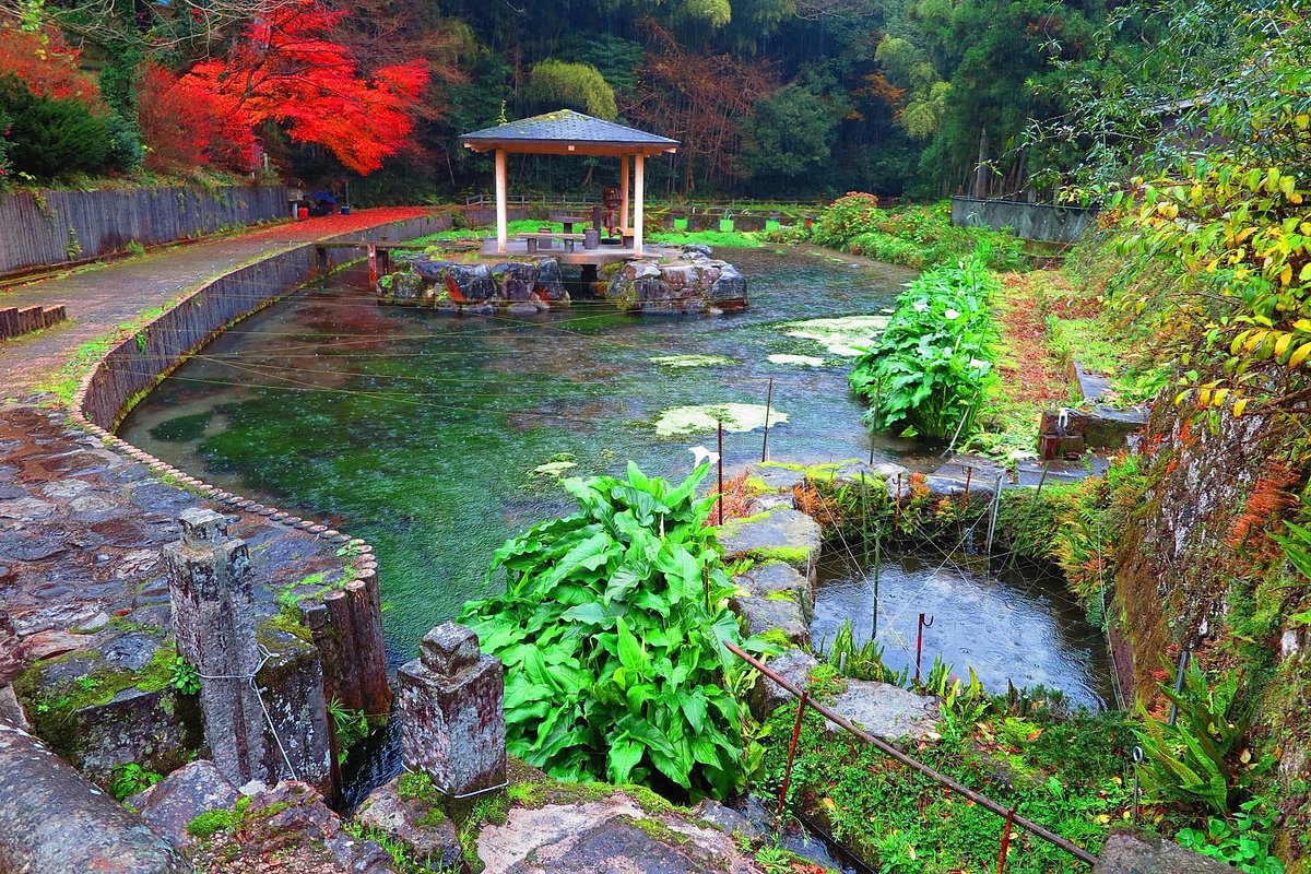 Hongu Izumi Spring cover image