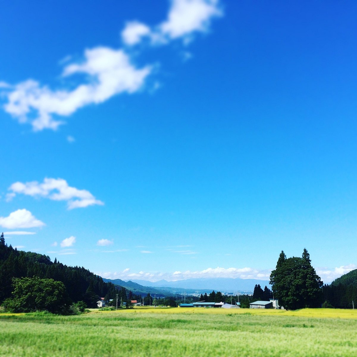 Sumomoyama Tannan Yamanokami cover image