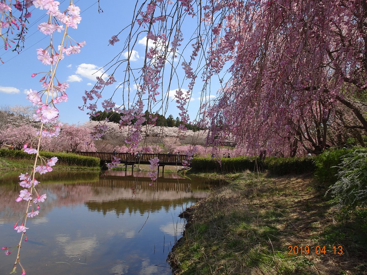 Hitachi Fudoki no Oka cover image