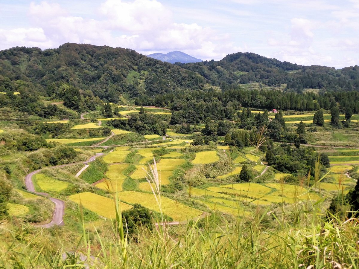 Hoshitoge Rice Terraces cover image