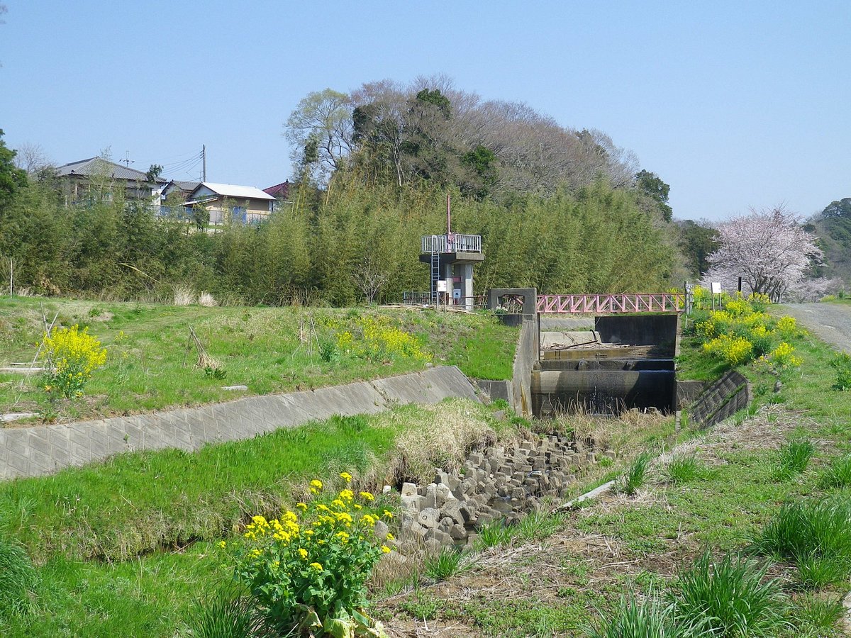 Umakuta no Michi cover image