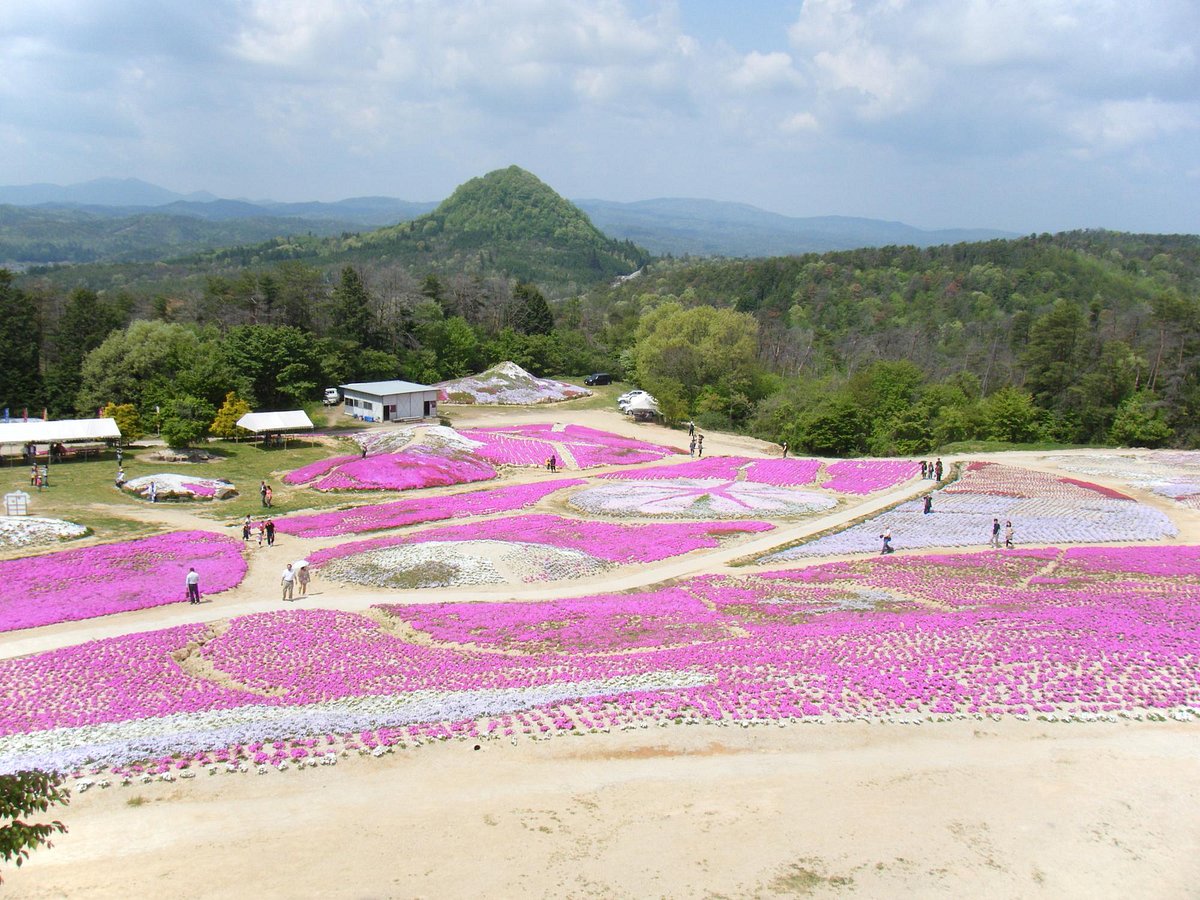 Kamu no Sato Rokutan cover image