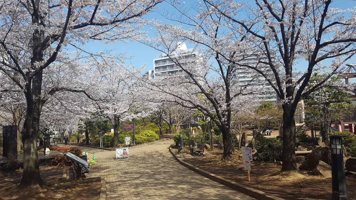 Kawaguchi West Park cover image