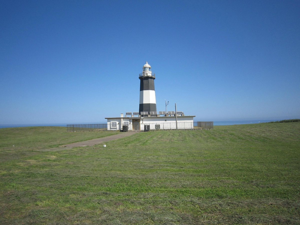 Cape Notoro cover image
